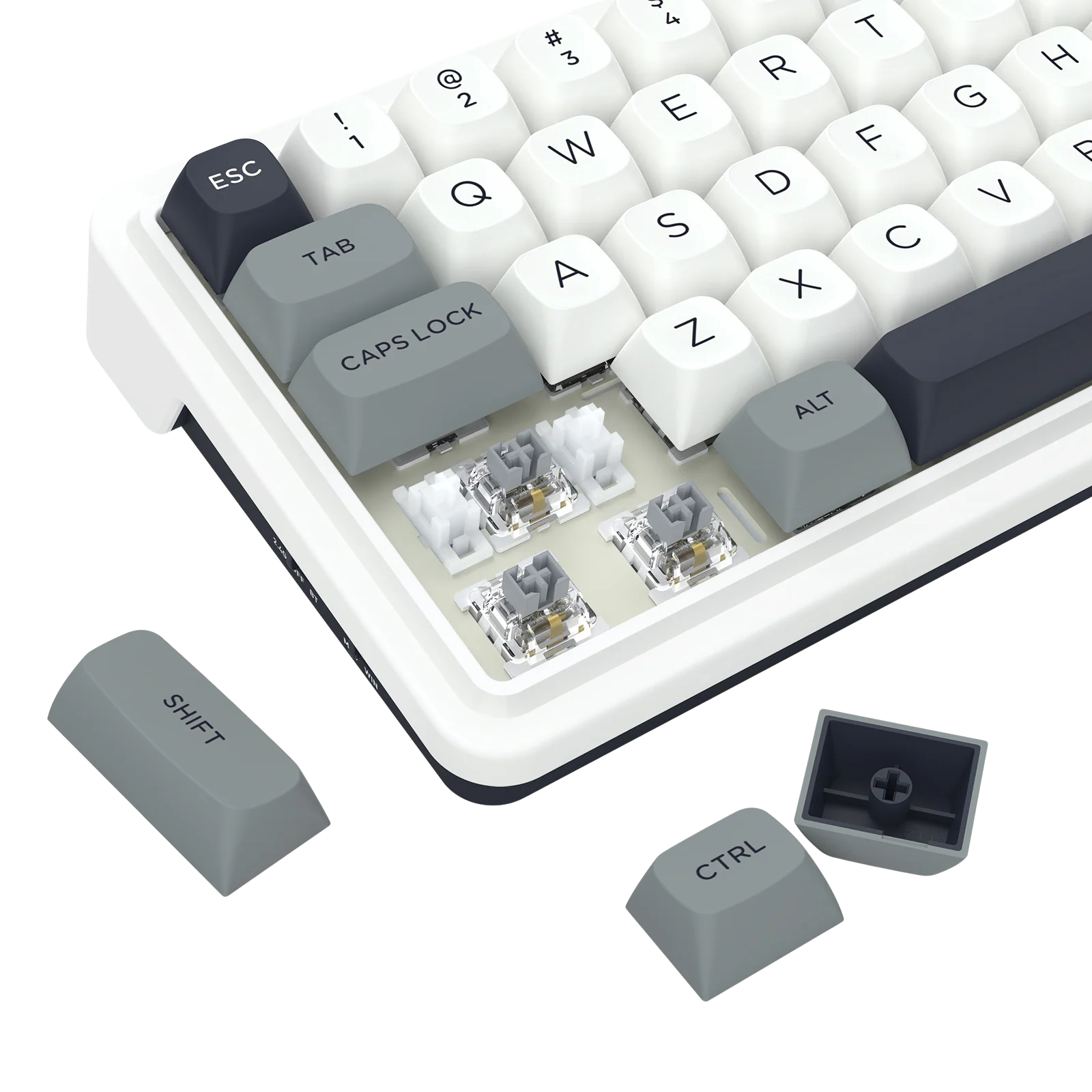 38-ironguard-k722-pro-1.webp