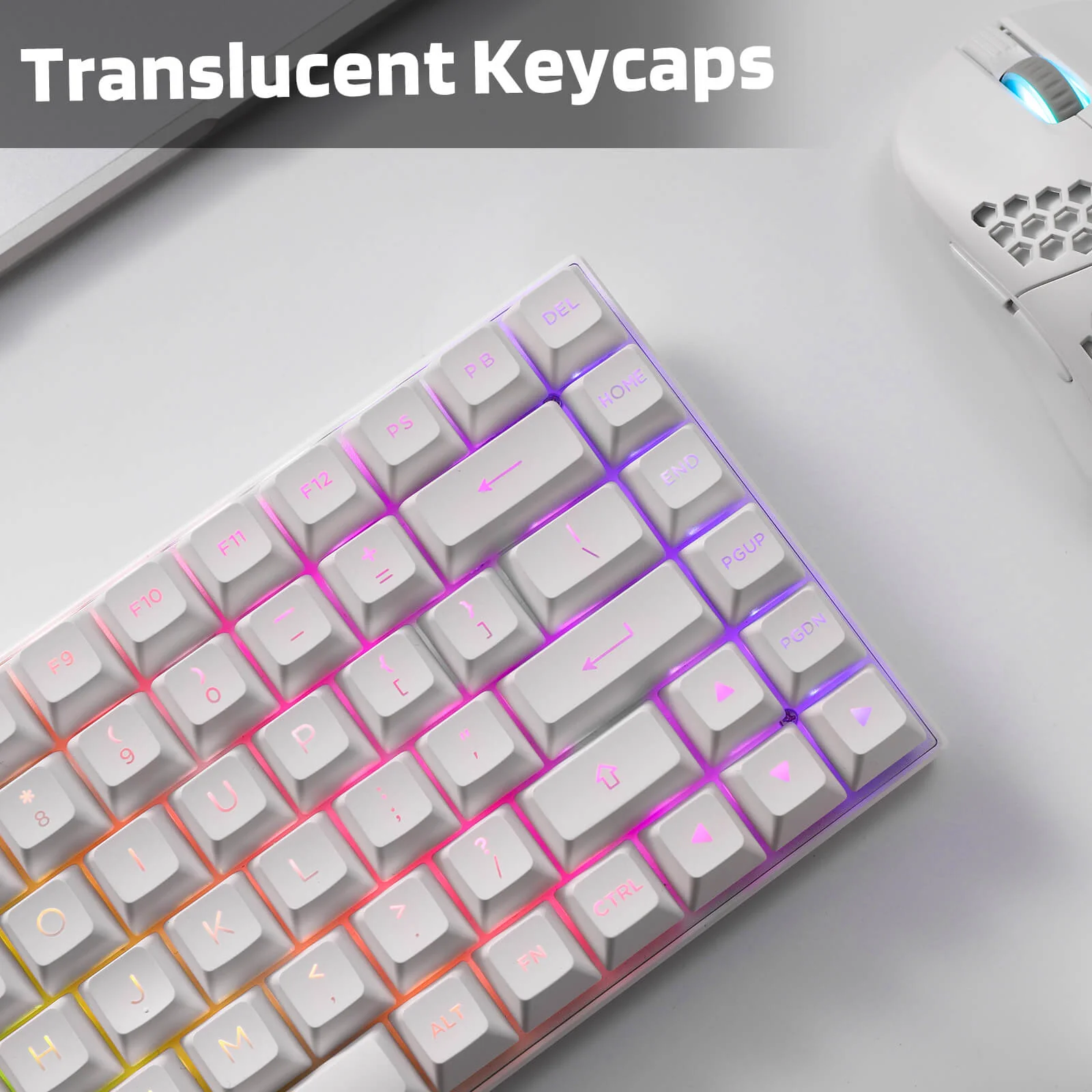 (Only Keycaps) Redragon X LTC Double Shot PBT 146 Keycaps Set with Keycap Puller & Storage Tray